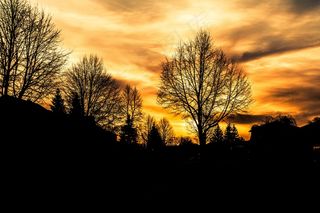 日出，希望，亮度，风景，风景，欢乐