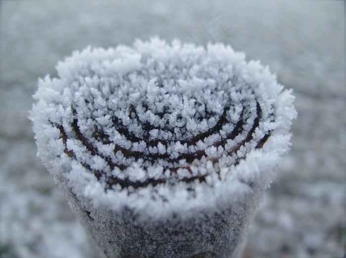 冬季，白色，寒冷，雪，寒冬，冰雪奇缘，水晶