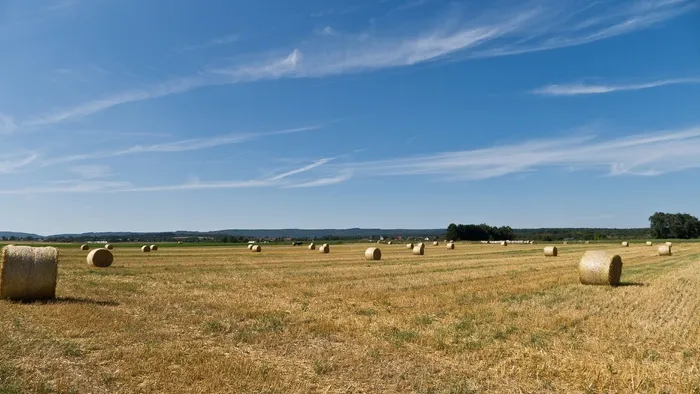 农业，稻草，圆形捆，田野，风景