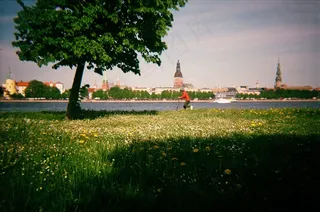 树,草原,风景,草地,天空,滑板车的孩子