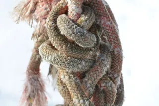 绳，编织，编织，编织，结，打结，包含