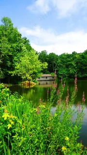 廊桥,阿拉巴马州,湖泊,水,夏天,徒步旅行 廊桥,阿拉巴马州,湖泊,水,夏天,徒步旅行