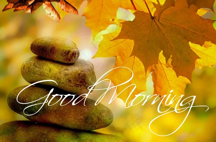 早上好，秋，树，树木，问候，早上