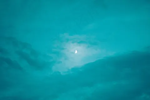 鱼类,模糊图片,地板砖,海洋,天空,新月对喜怒无常的天空 鱼类,模糊图片,地板砖,海洋,天空,新月对喜怒无常的天空