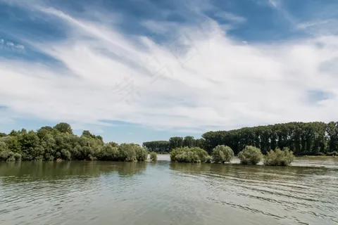 景观,水,河流,水域,莱茵河,德国 景观,水,河流,水域,莱茵河,德国