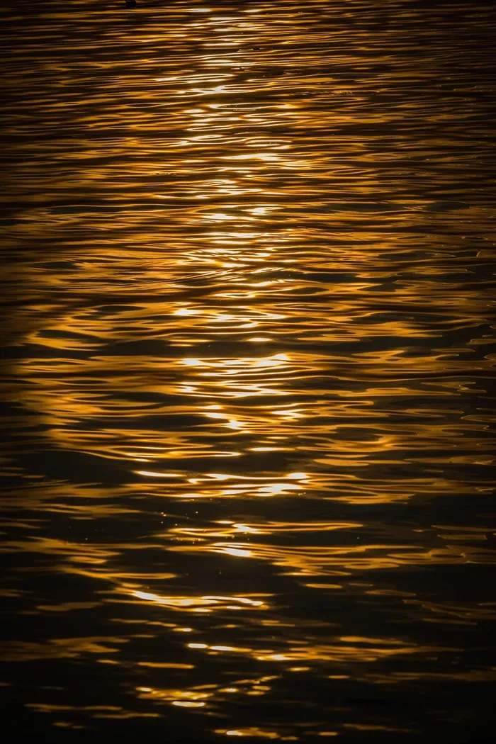 巴拉顿湖，湖，水，日落，景观，颜色