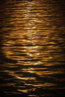 巴拉顿湖，湖，水，日落，景观，颜色