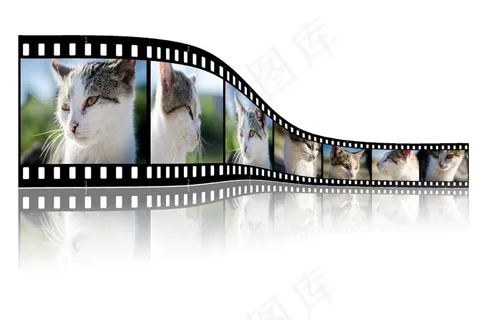 电影胶卷,桥梁,邮票,恐龙骨格,胶卷,电影视频与猫