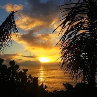 日落,海洋,岛,假期,天堂,夏威夷,棕榈 日落,海洋,岛,假期,天堂,夏威夷,棕榈