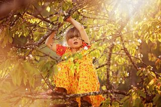 リボンとユーロ，人类，儿童，女孩，树，爬，审美，出