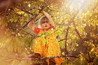 リボンとユーロ，人类，儿童，女孩，树，爬，审美，出