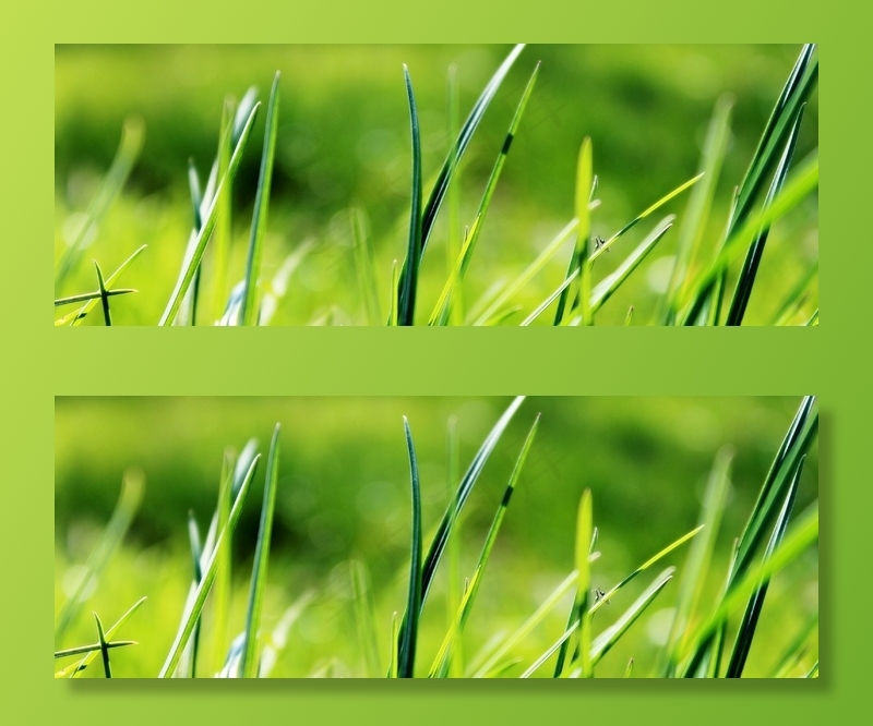 草，绿色，春天，草地，性质，心情，景观