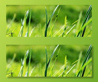 草，绿色，春天，草地，性质，心情，景观