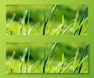 草，绿色，春天，草地，性质，心情，景观