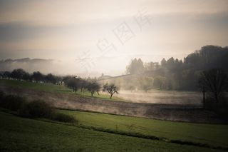 雾，秋，景观，心情，树木，场