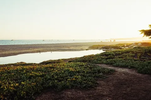 树,风景,长城,江河,天空,海海岸池塘海景 树,风景,长城,江河,天空,海海岸池塘海景