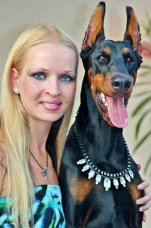 杜宾犬,约克夏犬,女人,宠物,狗 杜宾犬,约克夏犬,女人,宠物,狗