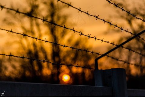 春天，傍晚，自然，景观，日落，地平线