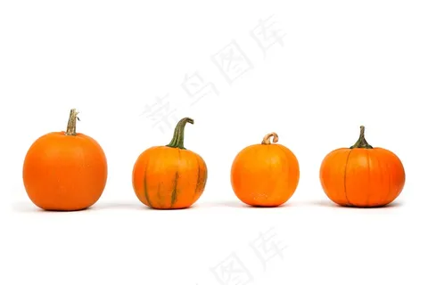 南瓜,小金瓜,大南瓜,南瓜灯,柿子,南瓜在白色背景中的行