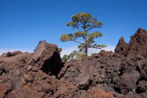 熔岩,熔岩岩石,熔岩田,巨石,月球景观 熔岩,熔岩岩石,熔岩田,巨石,月球景观