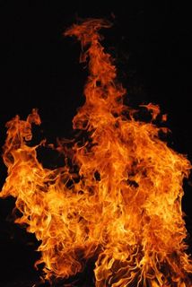 火焰特效,熊熊大火,篝火,花卉,菊花,质地：火