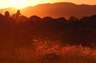 景观，日落，日出，阳光，橙色，发光