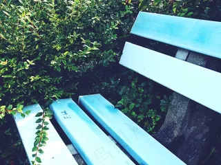 银行，自然，休息，座位，长凳，景观