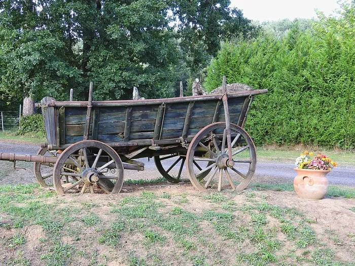 马车，老，教练，货车