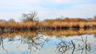 春天，湖，存根，水