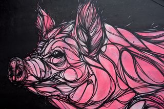 猪，动物，哺乳动物，艺术品，涂鸦，绘画