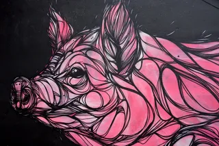 猪，动物，哺乳动物，艺术品，涂鸦，绘画