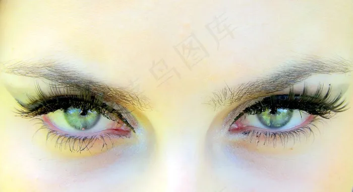 眼睛，绿色，基因，着色，诱人