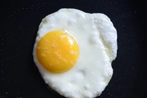鸡蛋，饥饿，生命