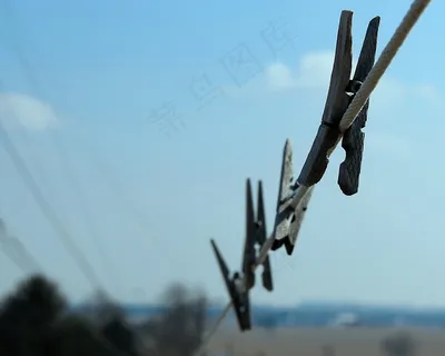 天空，晾衣绳，新鲜，空气，云，国家，农村
