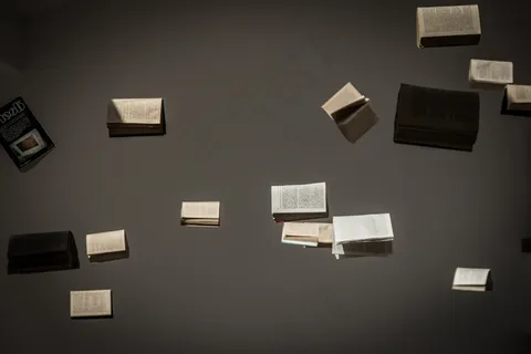 本书，博览会，组成，波兰，Zeromski，凯尔采