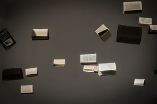 本书，博览会，组成，波兰，Zeromski，凯尔采