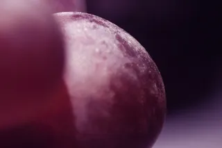 宏，串葡萄，紫，健康，葡萄，水果