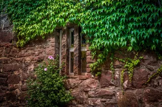 窗口，外立面，架构，老城，德国