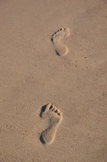 痕迹，脚，沙，海岸，海滩，波罗的海