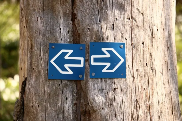 树，部落，森林，箭头，棕色，左，右