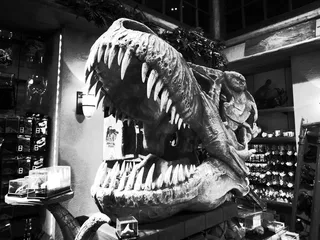 Wikiproject恐龙，恐龙，大牙齿，捕食者