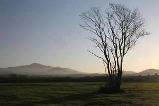 汉拿，牧场，日落