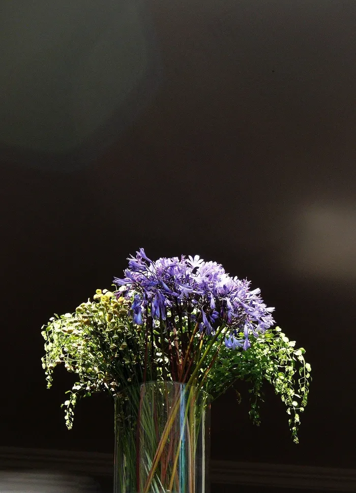 鲜花，花瓶，流血，黄色，玻璃，红色，花瓶