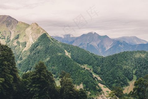 山，范围，意见，景区，景观，树林，森林