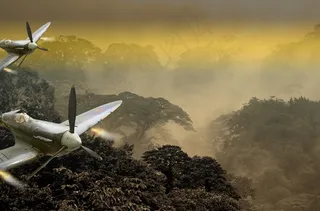 战机，飞机，丛林，螺旋桨飞机