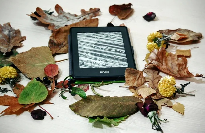 Kindle，胡椒白，阅读，技术，数码