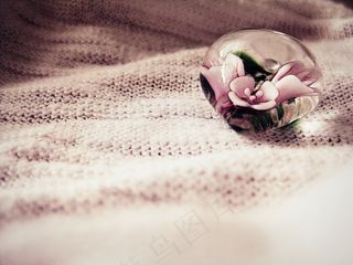 鲜花，玻璃杯中的鲜花，装饰，花的