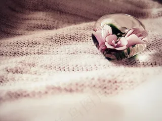 鲜花，玻璃杯中的鲜花，装饰，花的