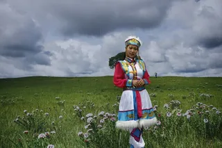 草原，内蒙古，内在美