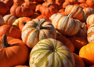 南瓜，秋天，秋季，橙色